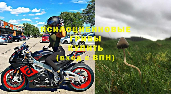 винт Армянск
