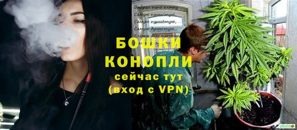винт Армянск