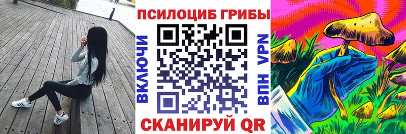 Псилоцибиновые грибы мицелий Гаврилов-Ям