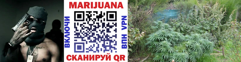 что такое Гаврилов-Ям Марихуана OG Kush